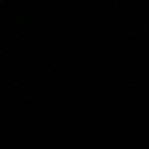 Meet your Posher, Gabby